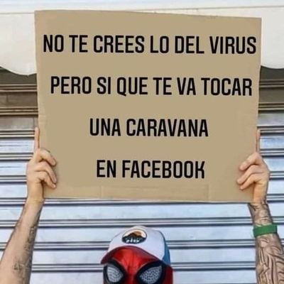 lucia12555878's profile picture. 