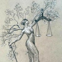 María Salvador. (@temis178) 's Twitter Profile