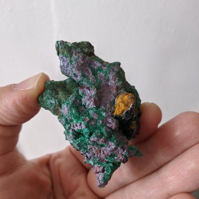 bigfatfeelings's profile picture. Scientific Illustrator