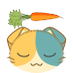 🥕 (@malicam) Twitter profile photo 🥕 (@malicam) Twitter profile photo