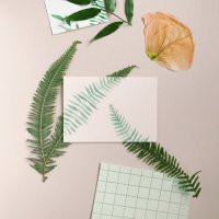 Victoria Vu (@paperandtype) 's Twitter Profile