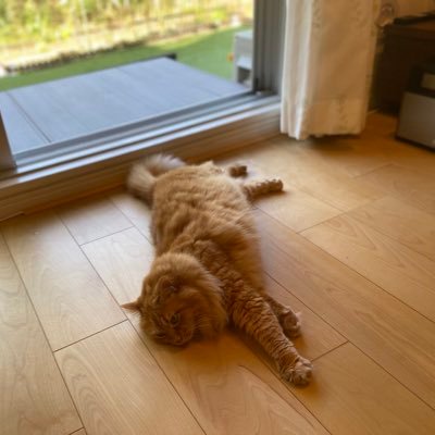 suzuhir30418591's profile picture. 