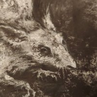Quinn Trashfire ๐ฝ๐๐บ๐ฆ๐น๐ผ (@quinn_trashfire) 's Twitter Profile Photo Quinn Trashfire ๐ฝ๐๐บ๐ฆ๐น๐ผ (@quinn_trashfire) 's Twitter Profile Photo