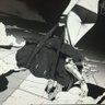 bevis_07's profile picture. The programmer who wrote Golang, the infinite resentment towards GFW, the tearing sensation...Glory to Hong Kong! Power is not given to you. You have to take it