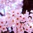 jj2young's profile image