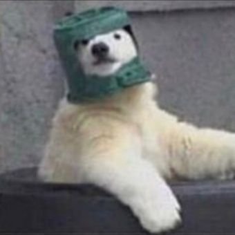 GiatPla's profile picture. Pk tu lis la description ?
グーグル翻訳 ?
#jeuxvideo #meme #Bomboclaat