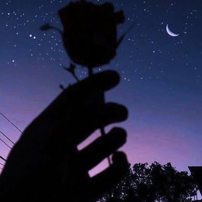 Apenas um cara apaixonado por séries e que acredita no amor, bem-vindo ao meu perfil. / @Feroix1