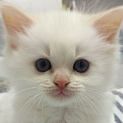 포포さんのプロフィール画像