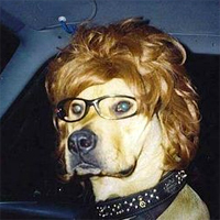 hjalamr's profile picture. Gatuköksmästare, ful