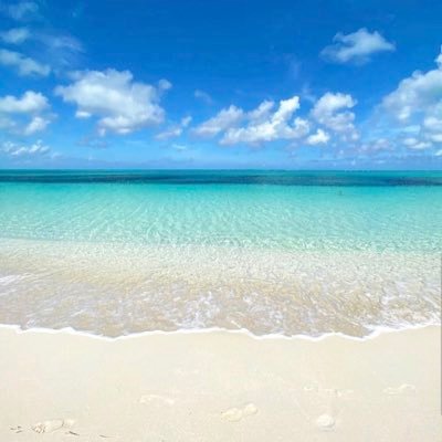 abcarey0805's profile picture. 