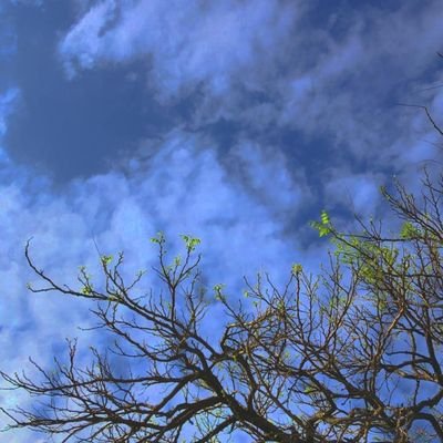 Garofolita's profile picture. 