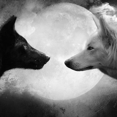 28feathers's profile picture. 