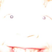 ian dawson (@demondawson) 's Twitter Profile