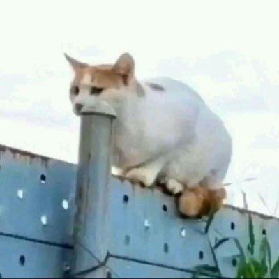 Facepookkie's profile picture. 