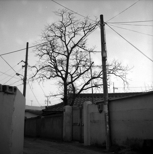 Van_Mary's profile picture. 어릴적 꿈은 기타리스트/ 지금의 꿈은 행복한 가정을 가진 토탈 아마츄어 아티스트/
--회삿사람 팔로잉 시러!!