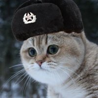 Meowism with Chinese Characteristics (@burtburton9) 's Twitter Profile