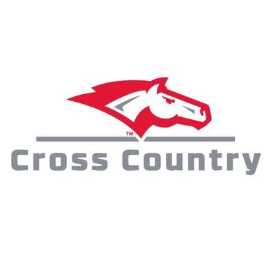 DCGGirlsXC Profile Picture