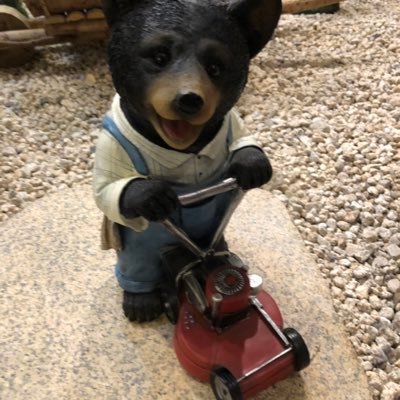 JicNZGUGGiTkVbg's profile picture. 