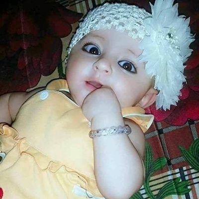 RiyaRaj55043833's profile picture. 