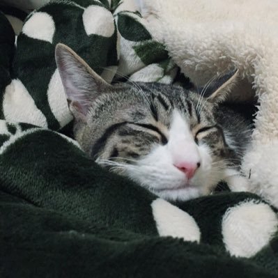 長谷川さおり Egp84npdbuvp14o Twitter