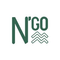 N'go (@ngoshoes) 's Twitter Profile