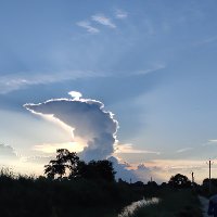 Shivam kumar (@shivamk17778842) 's Twitter Profile