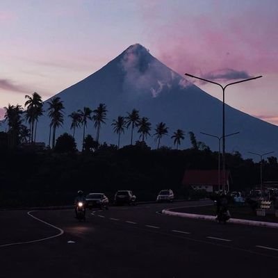 BorillaJulito's profile picture. 