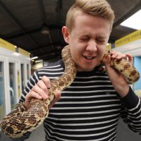 Matthew Critchell (@mattc_echo) 's Twitter Profile