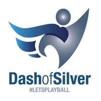 Dash of Silver (@dashofsilver1) 's Twitter Profile