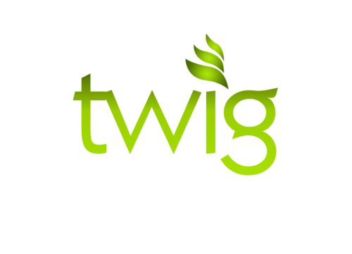 techingov's profile picture. We provide isibonakalo the suite of ICT modules designed to help municipalities achieve effective service delivery and the LGTAS.