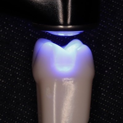 Alpina0120's profile picture. D.D.S  #microdentistry