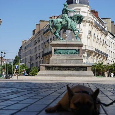 master2 droit privé droit pénal,sciences criminelles,toutes professions judiciaires.
1ére opex : tempête du désert.