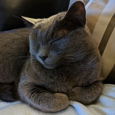 Mishkapants's profile picture. Ex-PhD candidate in Star Wars/cultural studies. Queer, they/them. Disabled, narcoleptic, ME, OI, OSA, and other assorted chronic illnesses.