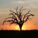 Dwayne Keith - @Discace4 - Twitter