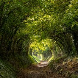 patrick_bovis's profile picture. 