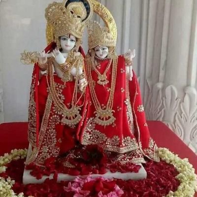 ShaniYa01735186's profile picture. jai shri krishna