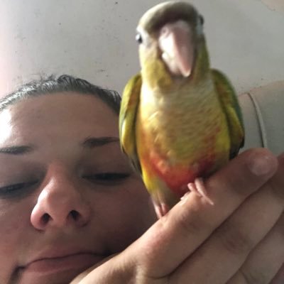 rhiacheriee's profile picture. Music & Musical Theatre Graduate 2019🎓