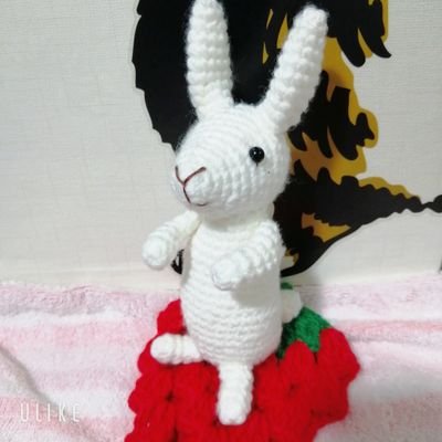 あみぐるみ⭐レジン⭐アクセサリー⭐タティングレース⭐などを趣味でやっています!
⭐趣味で作ったものにリプがつくと凄く嬉しいです!
⭐まだまだ、未熟ですがよろしくお願いしますっ!
こちらのアカウントで写真をツイートしている作品は販売できるものもあるので😊
気軽にリプ、DMくださーい(๑ŐдŐ)b