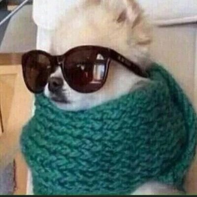 SAArmy90468187's profile picture. 