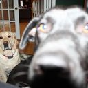 Pat Farrow - @Pat_Farrow - Twitter