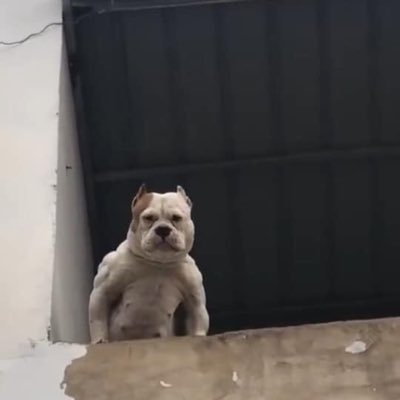 lwdbTnodIyctX4l's profile picture. 