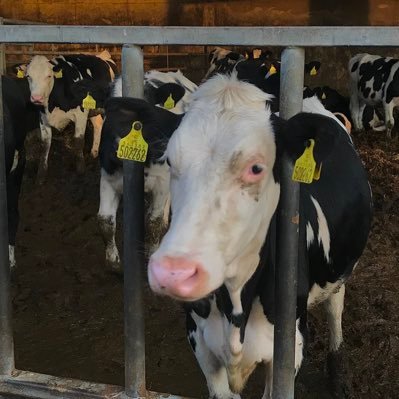 emmaa10611's profile picture. 