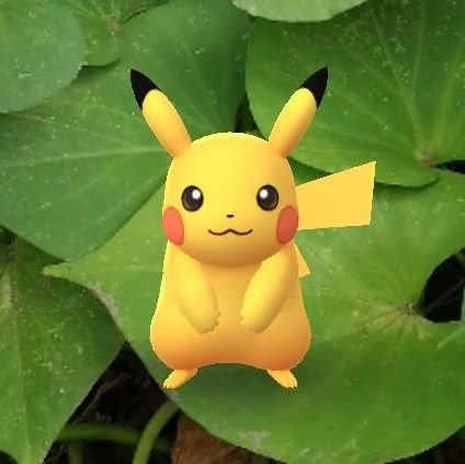 davyho's profile picture. 喝茶归来！变乖了哦！
只看，不发，不FO，不RT，不DM……