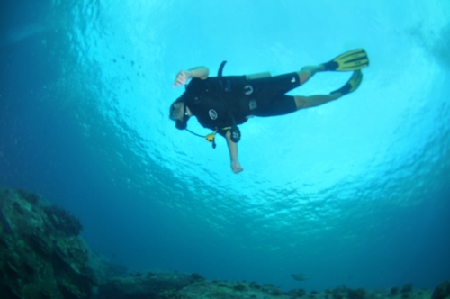 HenrikRye's profile picture. 