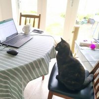 Michael Enright (@swissmikey) 's Twitter Profile