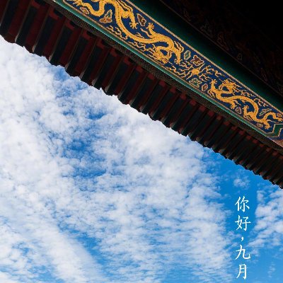 FfWMS4qogNy5lHu's profile picture. 