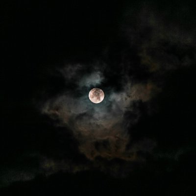 TheNightTrader2's profile picture. +20 trading experience...buy-side, sell-side, execution, prop