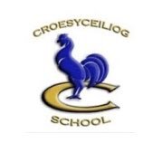 Director of Wellbeing (KS3) and teacher of LLC at Croesyceiliog School