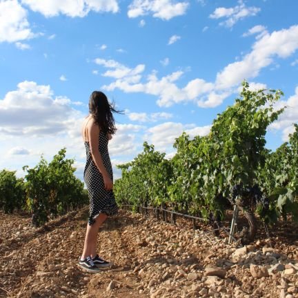 andrealopon22's profile picture. Desaprender para volver a aprender.