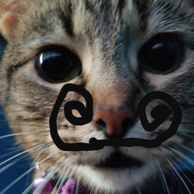 Trubot2's profile picture. Nothing special